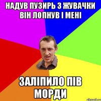 НАДУВ ПУЗИРЬ З ЖУВАЧКИ ВІН ЛОПНУВ І МЕНІ ЗАЛІПИЛО ПІВ МОРДИ