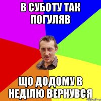 в суботу так погуляв що додому в неділю вернувся