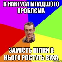 в кактуса младшого проблєма замість піпки в нього ростуть вуха