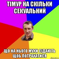 тімур на скільки секуальний що на нього мухи сідають щоб потрахатися