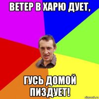 ветер в харю дует, гусь домой пиздует!