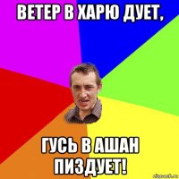 ветер в харю дует, гусь в ашан пиздует!