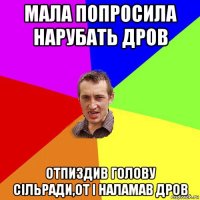 мала попросила нарубать дров отпиздив голову сільради,от і наламав дров