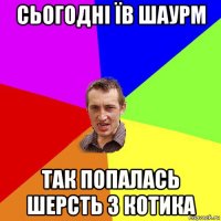 сьогодні їв шаурм так попалась шерсть з котика