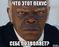 Что этот пекус себе позволяет?