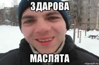 Здарова Маслята