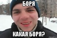 Боря Какая Боря?