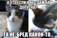 А что если я не сдам на допуска? Та не, бред какой-то...