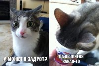 А может я задрот? Да не, фигня какая-то