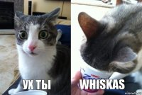 ух ты Whiskas