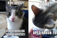 я не крут?! Этого кота по телеку крутят! Да не , Бред какой-то