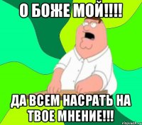 О БОЖЕ МОЙ!!!! ДА ВСЕМ НАСРАТЬ НА ТВОЕ МНЕНИЕ!!!