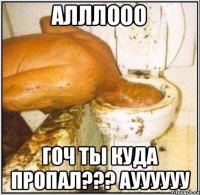 Алллооо Гоч ты куда пропал??? Ауууууу