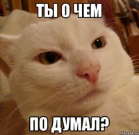 Ты о чем по думал?