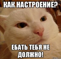 как настроение? ебать тебя не должно!