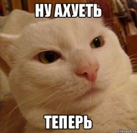 ну ахуеть теперь