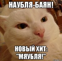 наубля-баян! новый хит: "мяубля!"