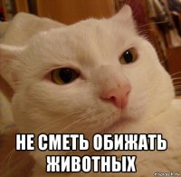  не сметь обижать животных