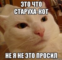 это что старуха-кот не я не это просил