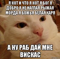 я кот и что я кот я бог я добро я не наглая рыжая морда я божья белая харя а ну раб дай мне вискас