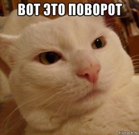 вот это поворот 