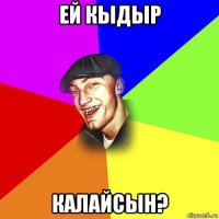 ей кыдыр калайсын?