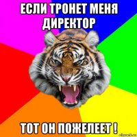 если тронет меня директор тот он пожелеет !