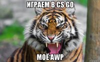 играем в cs go моё awp