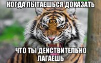 когда пытаешься доказать что ты действительно лагаешь