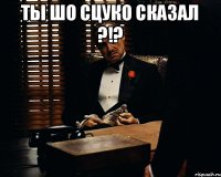 Ты шо сцуко сказал ?!? 