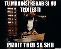 Tu maninsi kebab si nu ti dilesti Pizdit treb sa shii