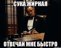 Сука жирная отвечай мне быстро