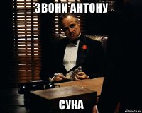 звони антону сука