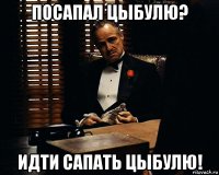 посапал цыбулю? идти сапать цыбулю!