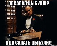 посапал цыбулю? иди сапать цыбулю!