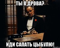 ты в дрова? иди сапать цыбулю!