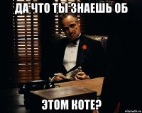 да что ты знаешь об этом коте?