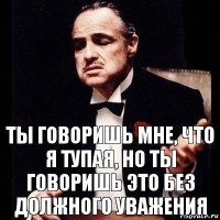 Ты говоришь мне, что я тупая, но ты говоришь это без должного уважения