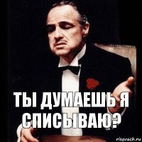 Ты думаешь я списываю?