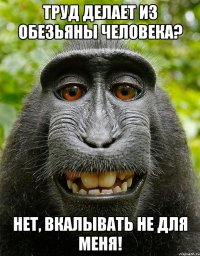 ТРУД ДЕЛАЕТ ИЗ ОБЕЗЬЯНЫ ЧЕЛОВЕКА? НЕТ, ВКАЛЫВАТЬ НЕ ДЛЯ МЕНЯ!