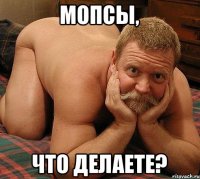 Мопсы, Что делаете?