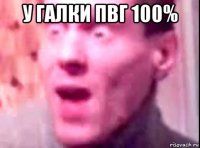 у галки пвг 100% 