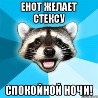 Енот желает Стексу Спокойной ночи!