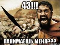 43!!! панимаешь меня???