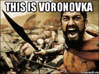 This is Voronovka 