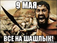 9 мая - все на шашлык!