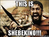 this is shebekino!!!