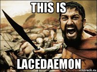 this is lacedaemon