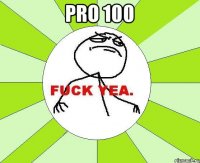 Pro 100 