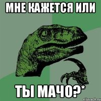 мне кажется или ты мачо?*